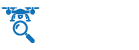 Drone Inspection